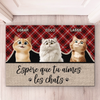 Tapis Décoratif Personnalisé Pour La Maison – Cadeaux De Noël Et D’Anniversaire Personnalisés Pour Famille, Amoureux Des Chiens Et Des Chats – J’Espero Que Vous Aimez Les Animaux
