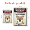 Panneau Métallique Personnalisé Pour La Décoration De La Maison – Cadeaux D’Anniversaire Personnalisés Pour Amoureux Des Chiens, Parents De Chiens – Propriété Des Pattes