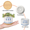 Pot de Fleurs en Céramique Personnalisé – Cadeau pour Sœurs, Amies – Comme Des Arbres, Nous Grandissons Ensemble