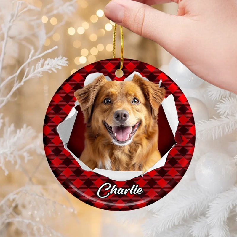 Ornement photo en céramique personnalisé – Cadeaux de Noël ou d’anniversaire pour les amoureux des chiens et des chats, propriétaires d’animaux – Les queues frétillent, les cœurs s’illuminent