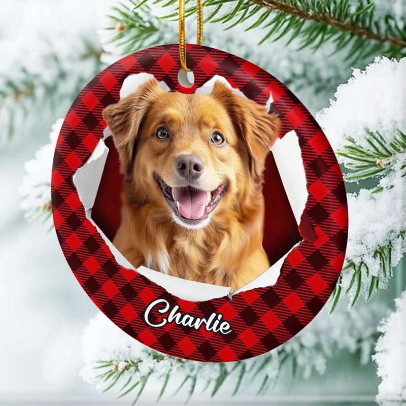 Ornement photo en céramique personnalisé – Cadeaux de Noël ou d’anniversaire pour les amoureux des chiens et des chats, propriétaires d’animaux – Les queues frétillent, les cœurs s’illuminent