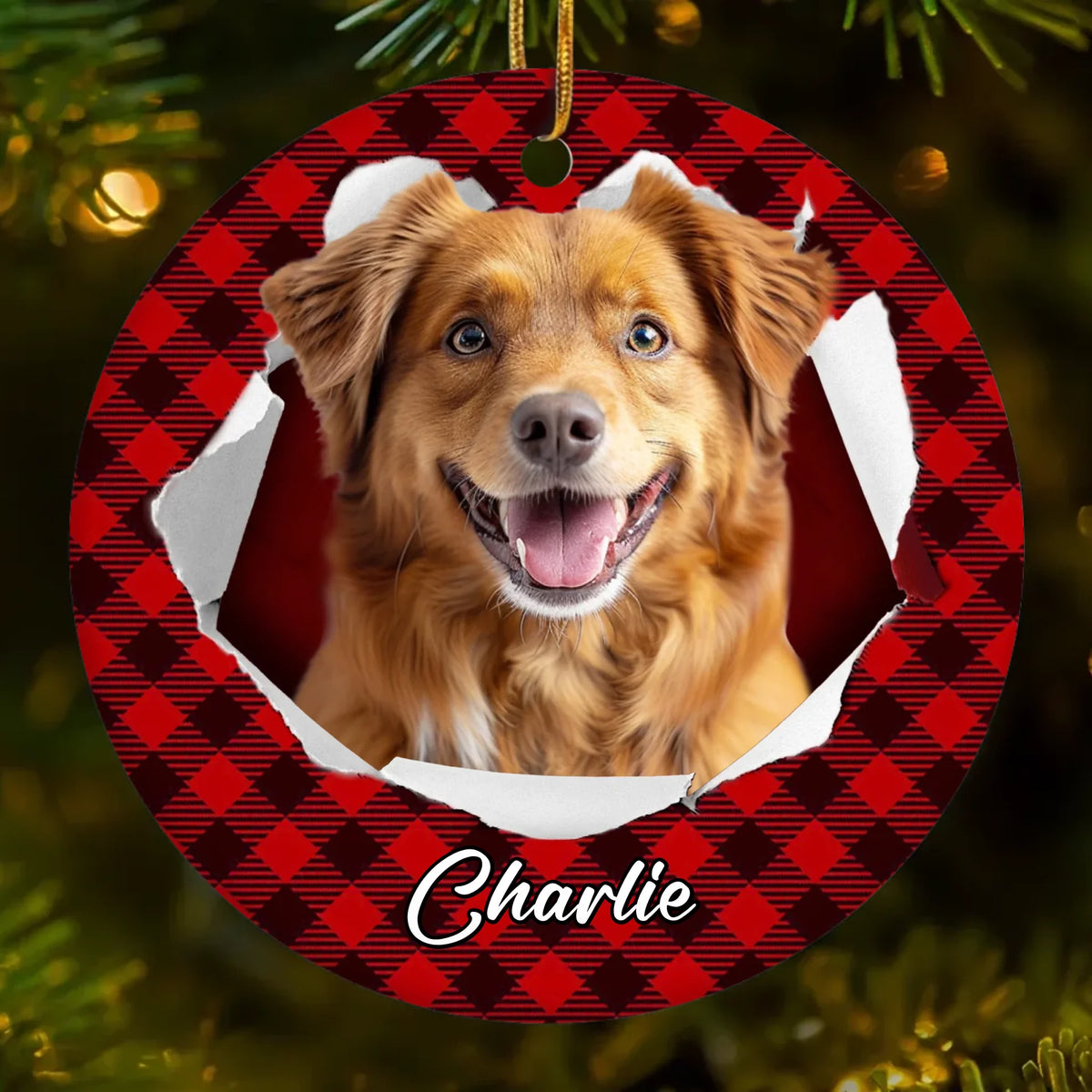 BG-TOP-PREVIEW-DS-SANG