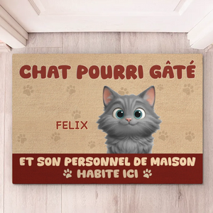 Tapis Décoratif Personnalisé Pour La Maison – Cadeaux D'Anniversaire Personnalisés Pour Les Amoureux Des Chats, Mamans Et Papas De Chats – Chats Pourris Gâtés Et Leur Personnel De Maison Habitent Ici