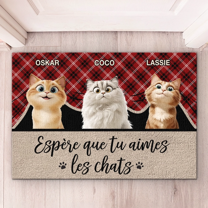 Tapis Décoratif Personnalisé Pour La Maison – Cadeaux De Noël Et D’Anniversaire Personnalisés Pour Famille, Amoureux Des Chiens Et Des Chats – J’Espero Que Vous Aimez Les Animaux