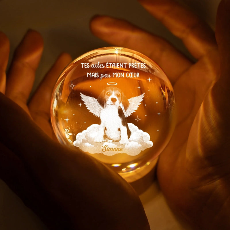 Lampe Globe En Cristal Personnalisée Avec Photo – Cadeaux Commémoratifs Personnalisés Pour Honorer La Mémoire De Chiens Et De Chats – Ton Vol, Ma Douleur Éternelle