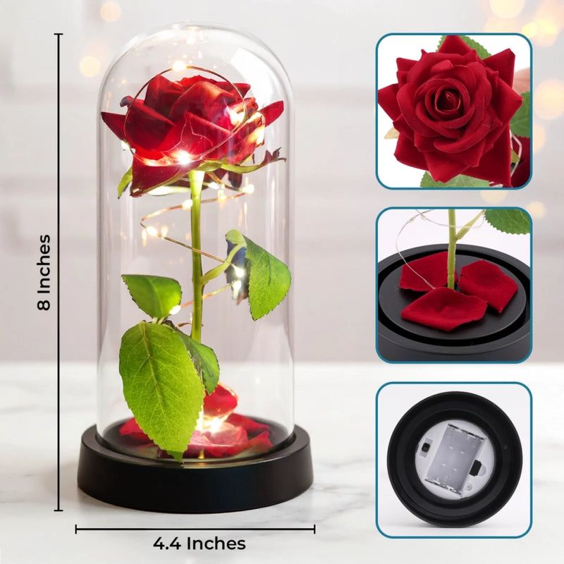 Rose Éternelle Lumineuse Personnalisée Avec Photo Sous Cloche En Verre – Cadeaux D’Anniversaire De Mariage Et De Mariage Pour Mari Et Femme, Pour Lui Et Pour Elle – Notre Amour Brille Pour Toujours