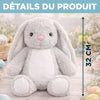 Peluche Lapin Personnalisée – Cadeau De Pâques Pour Bébé – Mon Compagnon Tout Doux