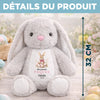 Peluche Lapin Personnalisée – Cadeau De Pâques Pour Bébé – Petit Lapin, Grand Amour