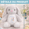 Peluche Lapin Personnalisée – Cadeau De Pâques Pour Bébé – Joyeuses Pâques