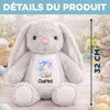 Peluche Lapin Personnalisée – Cadeau De Pâques Pour Bébé – Le Premier Doudou
