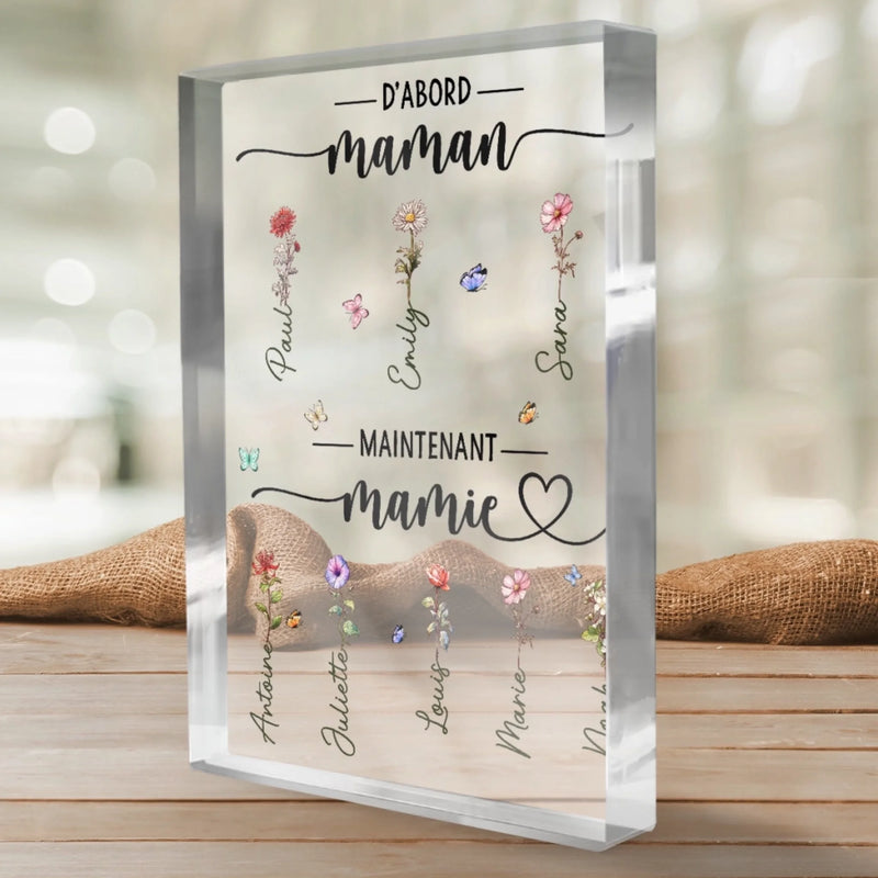 Plaque Acrylique Rectangulaire Personnalisée – Cadeau Pour Maman, Mamie – Une Famille Unie À Jamais