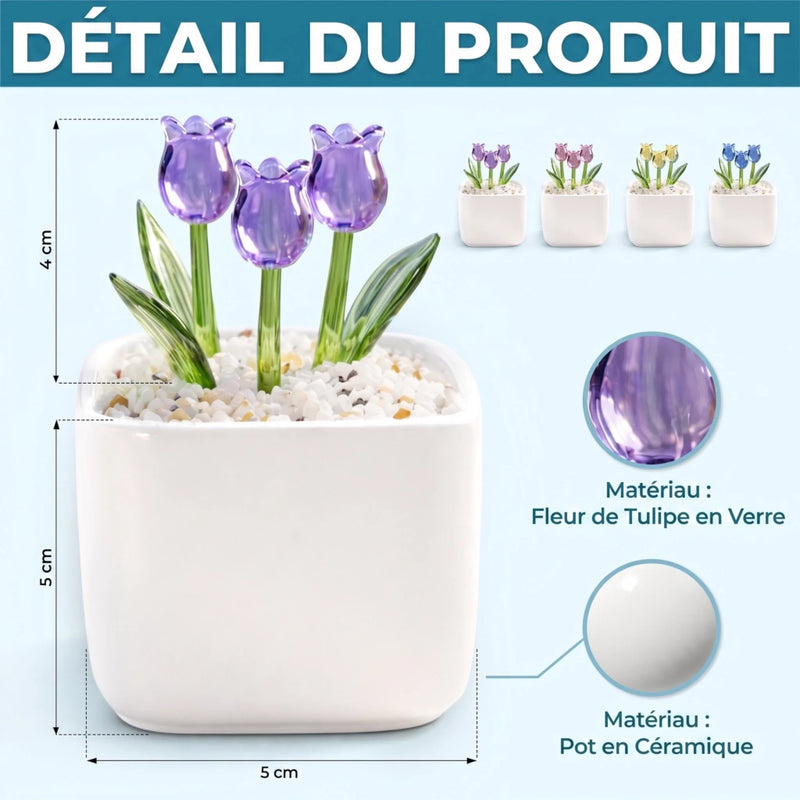 Tulipes Éternelles en Verre Personnalisées – Cadeau pour Fille – La Propre Famille de Sa Fille