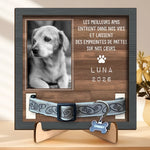 Plaque Commémorative Personnalisée avec Photo - Cadeau Commémoratif pour Propriétaire d’Animal - Je t'ai aimé toute ta vie