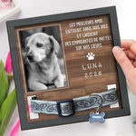 Plaque Commémorative Personnalisée avec Photo - Cadeau Commémoratif pour Propriétaire d’Animal - Je t'ai aimé toute ta vie