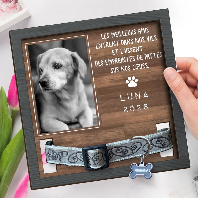 Plaque Commémorative Personnalisée avec Photo - Cadeau Commémoratif pour Propriétaire d’Animal - Je t'ai aimé toute ta vie