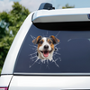 Autocollant RV Personnalisé avec Photo - Cadeau pour propriétaires d’animaux, amoureux des animaux - Trop Cool pour Rester à l’Intérieur