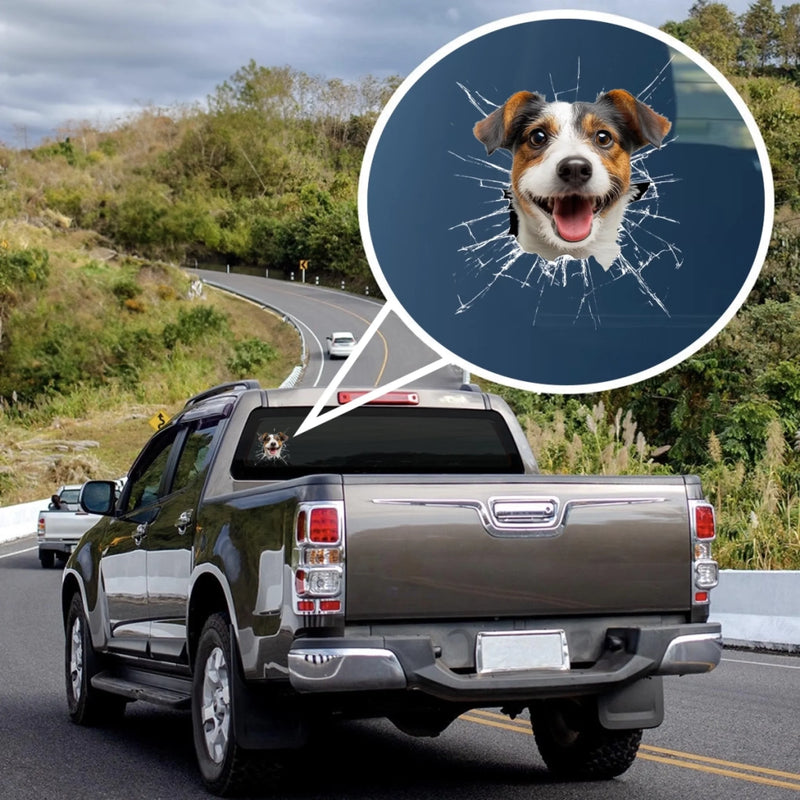 Autocollant RV Personnalisé avec Photo - Cadeau pour propriétaires d’animaux, amoureux des animaux - Trop Cool pour Rester à l’Intérieur
