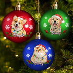 Boule de Noël Personnalisé avec Photo - Cadeau de Noël pour Les Amoureux Des Animaux - Les ennuis du père Noël