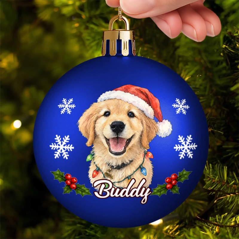 Boule de Noël Personnalisé avec Photo - Cadeau de Noël pour Les Amoureux Des Animaux - Les ennuis du père Noël