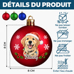 Boule de Noël Personnalisé avec Photo - Cadeau de Noël pour Les Amoureux Des Animaux - Les ennuis du père Noël