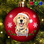 Boule de Noël Personnalisé avec Photo - Cadeau de Noël pour Les Amoureux Des Animaux - Les ennuis du père Noël