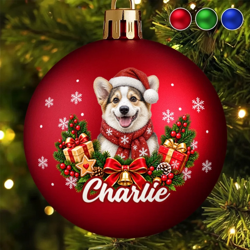 Boule de Noël Personnalisée avec Photo - Cadeau de Noël pour Les Amoureux Des Animaux - Plus de fourrure